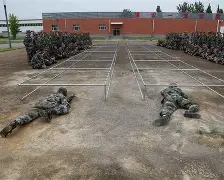 布莱顿今晨战术微调，志在中超名次提升，质疑声仍在，临场指挥获称赞